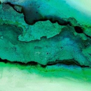 Meet your Posher, Eva